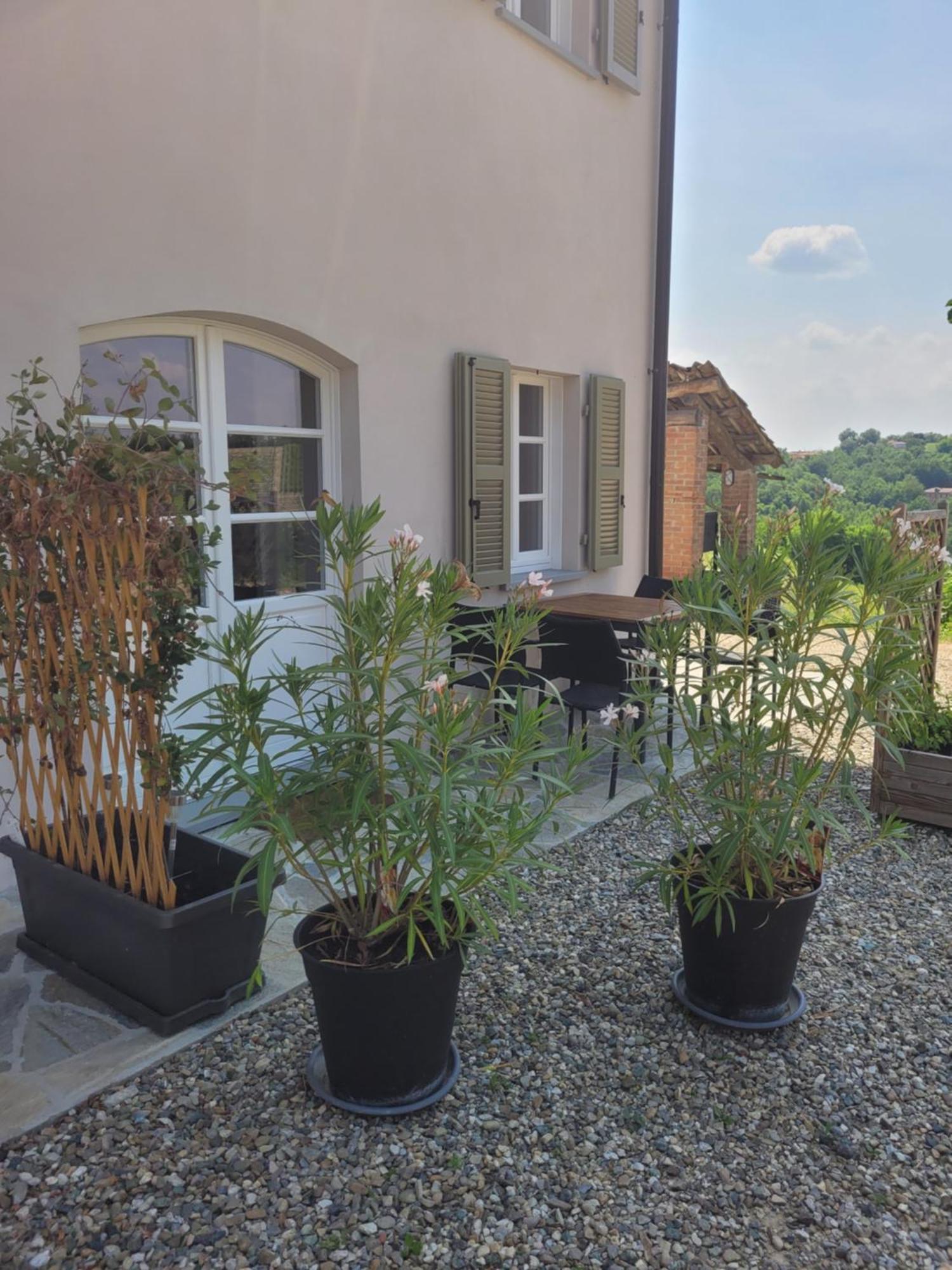 Cascina Allegria Castelnuovo  Dış mekan fotoğraf