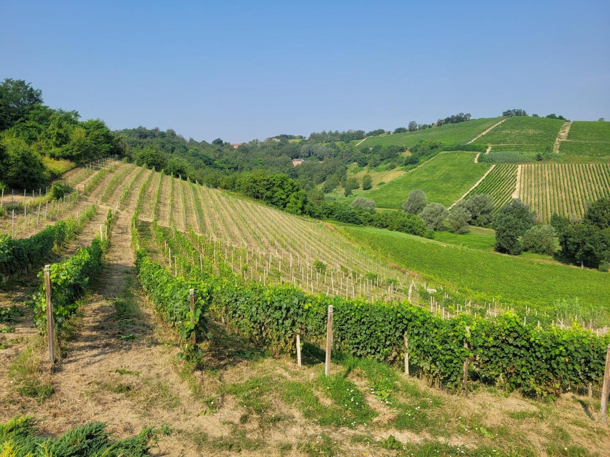 Cascina Allegria Castelnuovo  Dış mekan fotoğraf